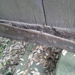 Old oak door and hinges